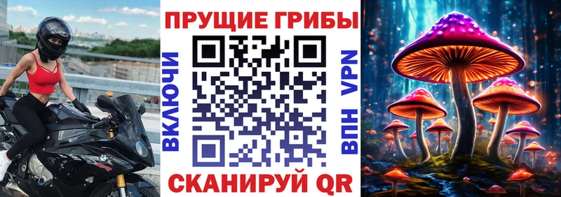 Псилоцибиновые грибы Magic Shrooms  Купить  Покровск 